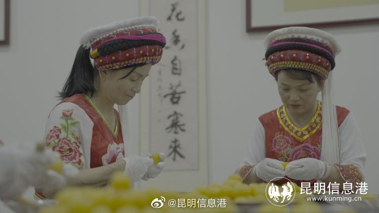 昆明信息港