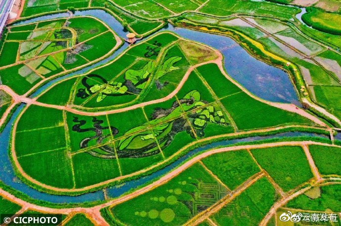 “云南发布”微博