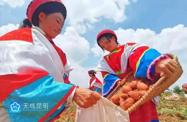 昆明市农业农村局