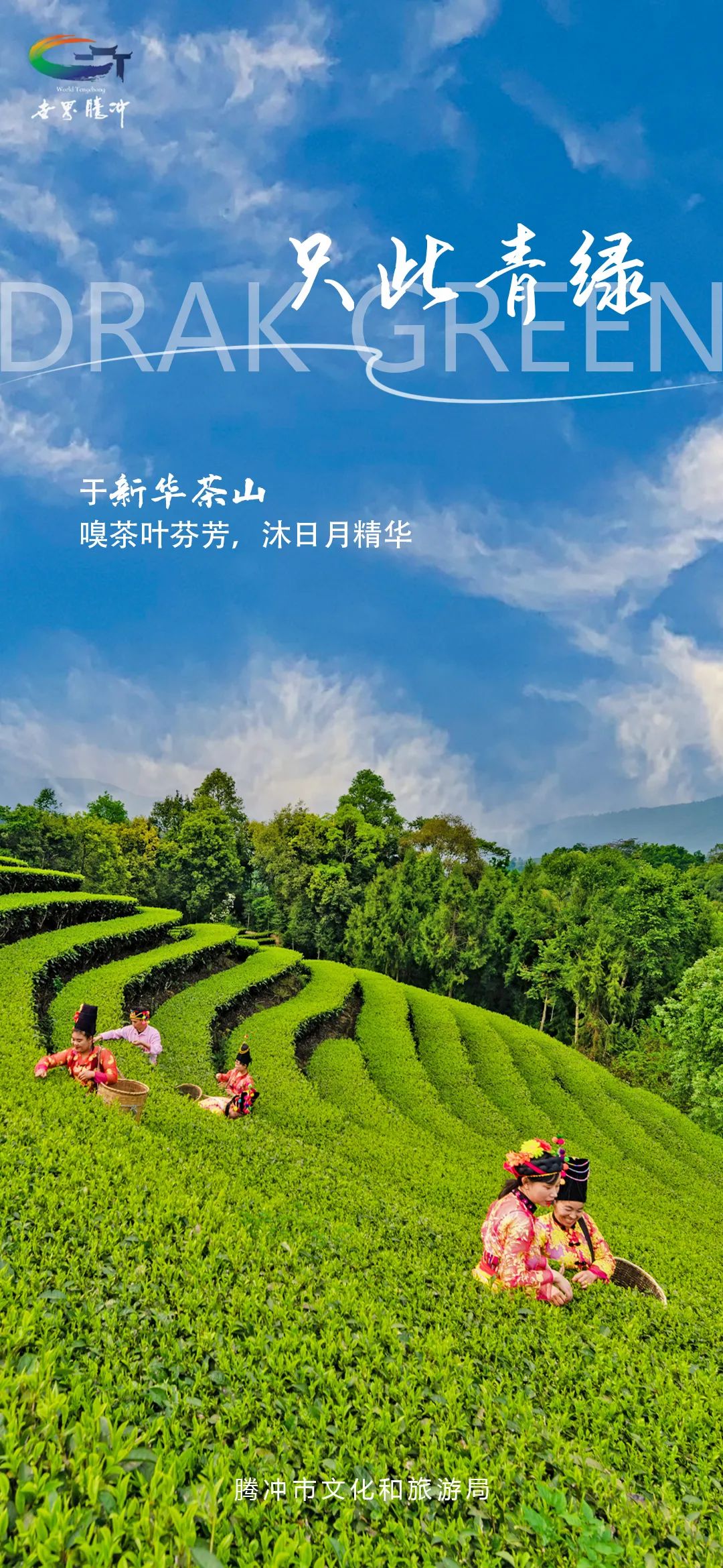保山新闻网