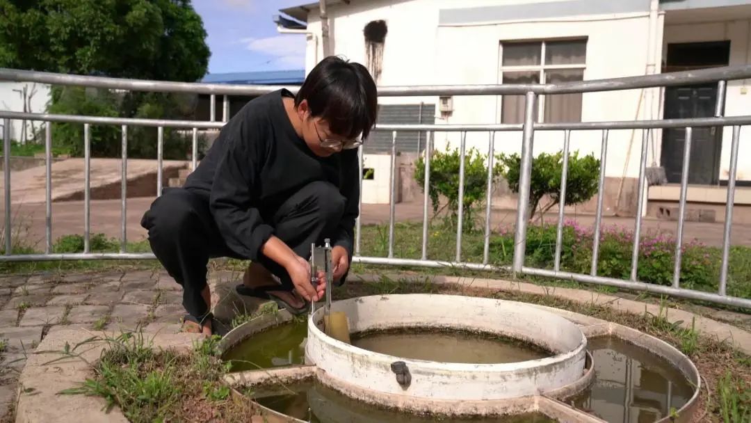 大理电视台