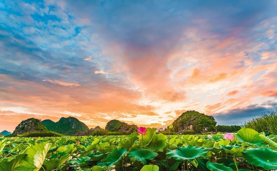 云南省文化和旅游厅