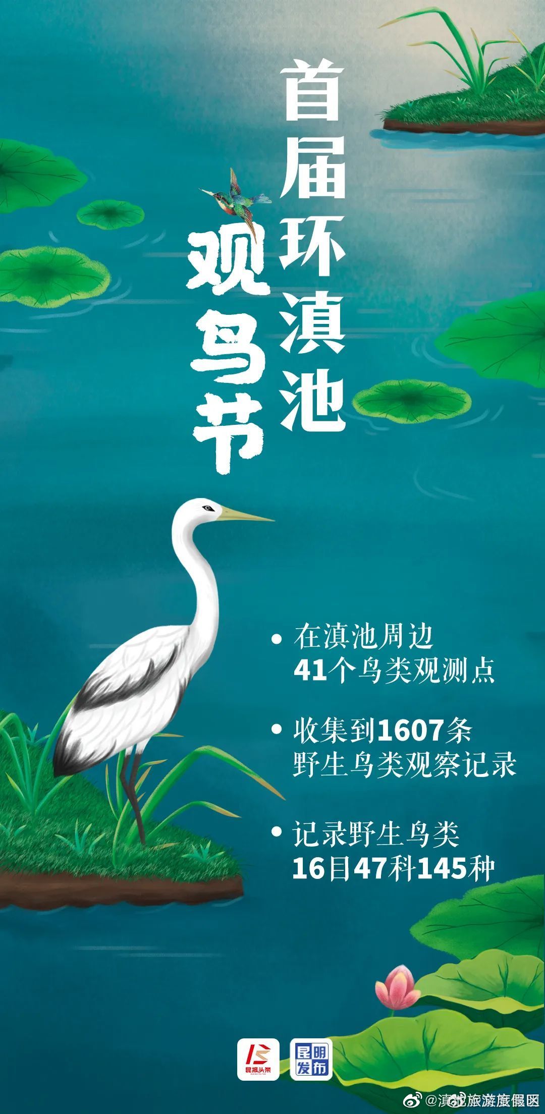 滇池周边有多少种鸟？他们专门看了一年，发现……