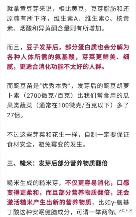 大理日报