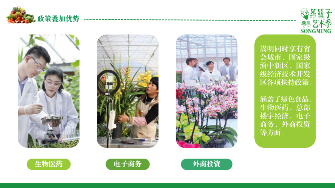 嵩明招商(微信)