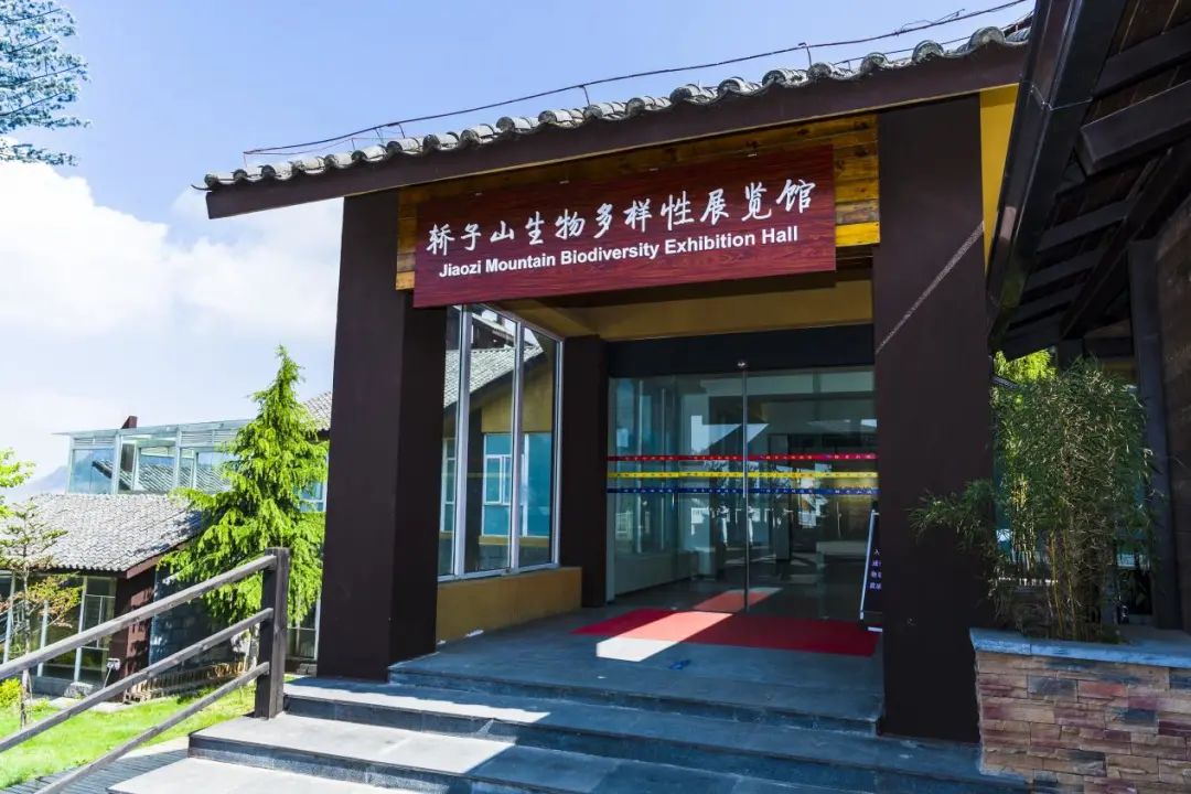 昆明轿子山旅游