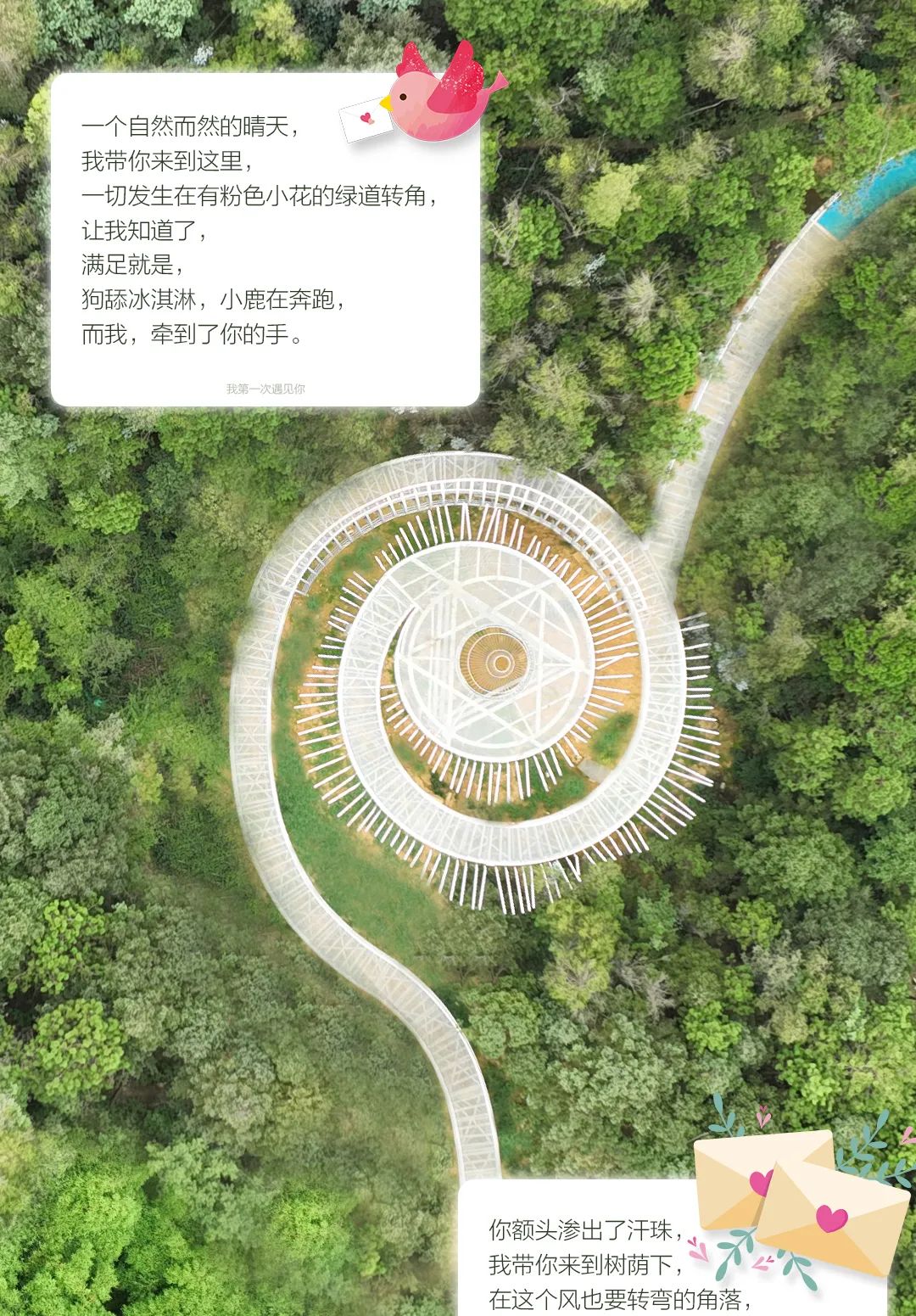微观盘龙
