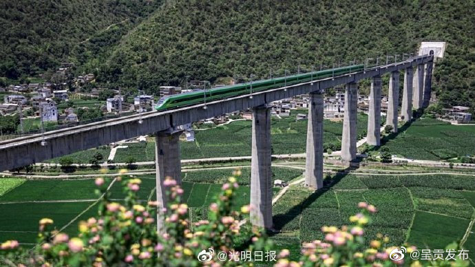 呈贡发布