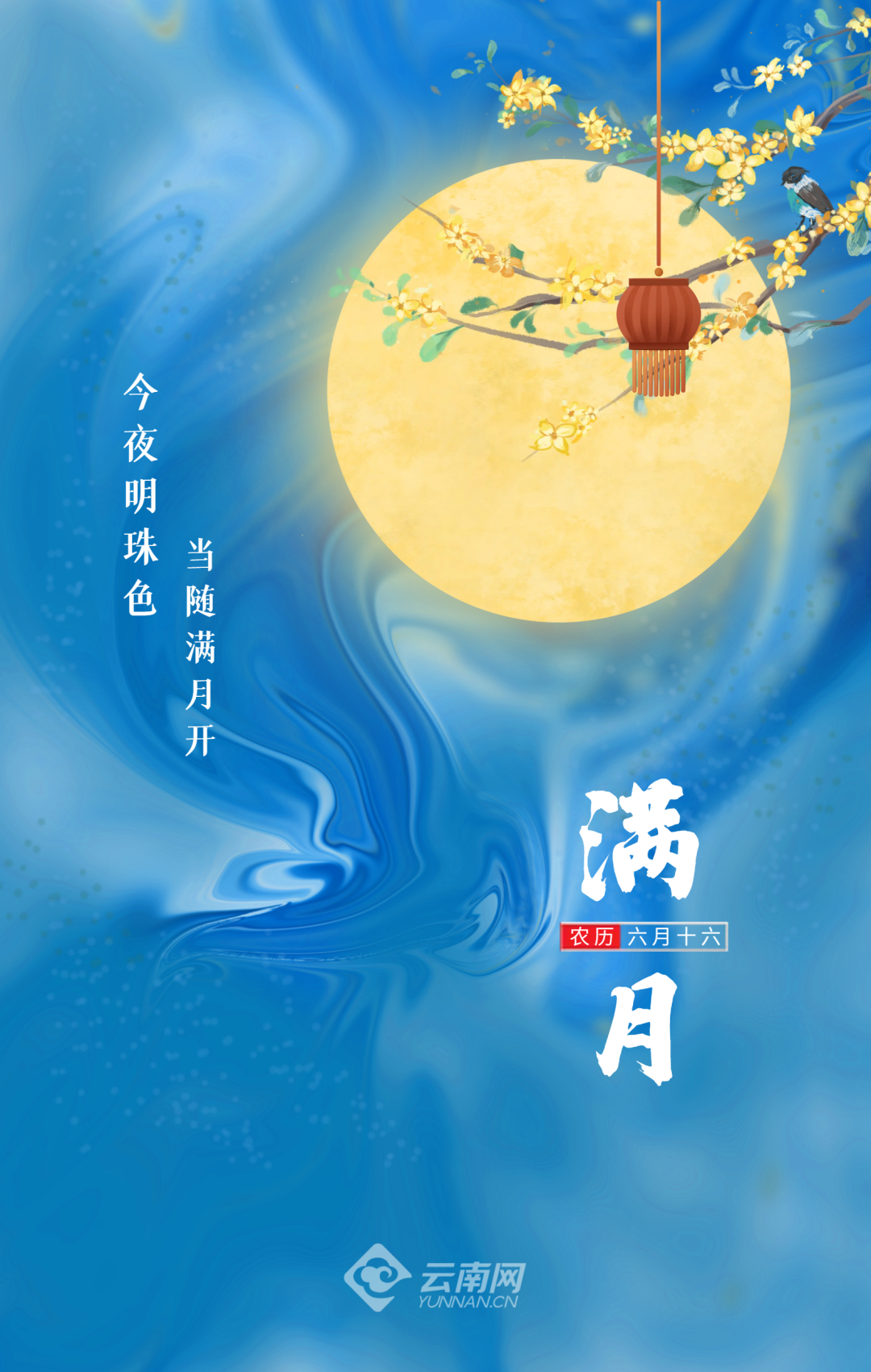 美丽云南微科普