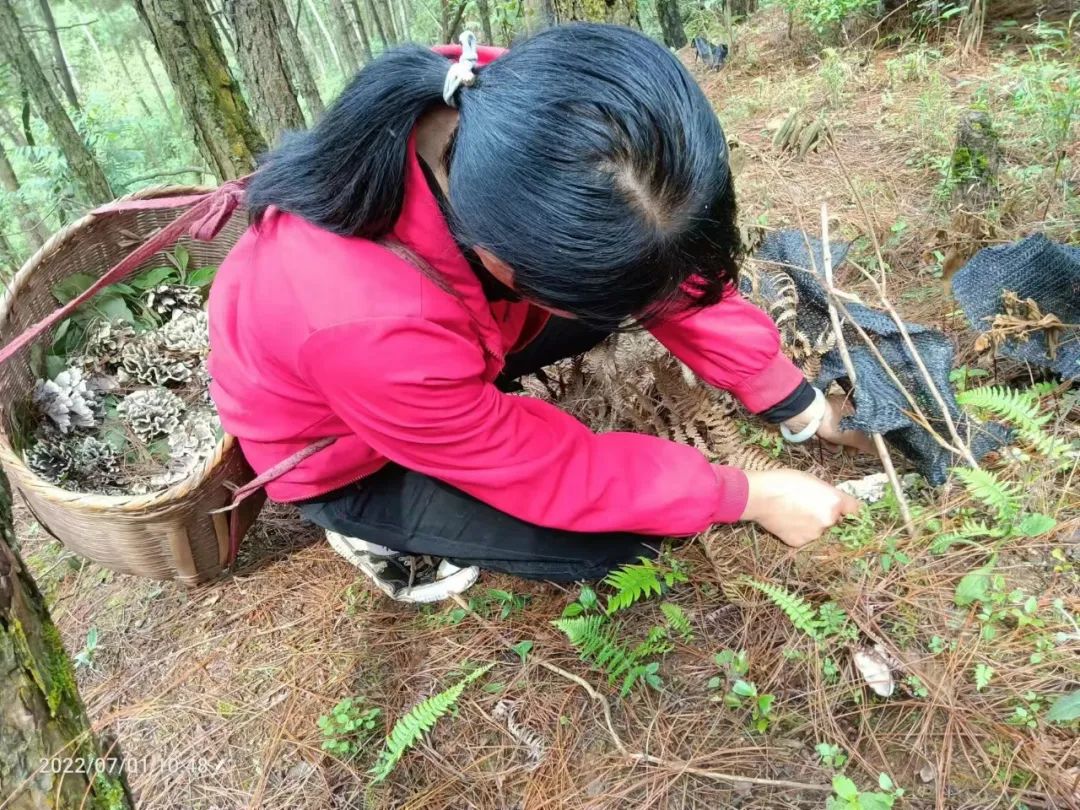 保山新闻网