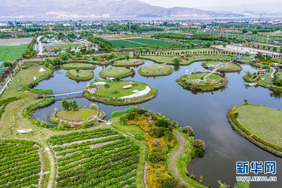 云南省文化和旅游厅