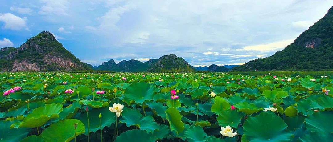 云南省文化和旅游厅