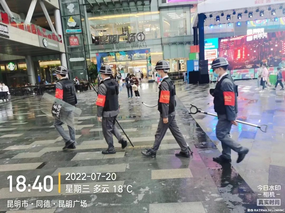 微观盘龙