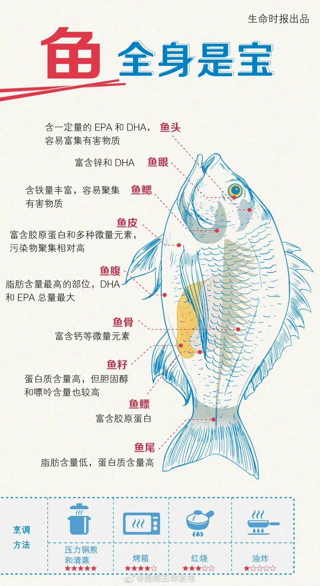 一条鱼浑身上下都是宝，国人鱼摄入量普遍不足