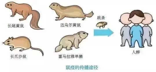 昆明信息港/cnkmxxg