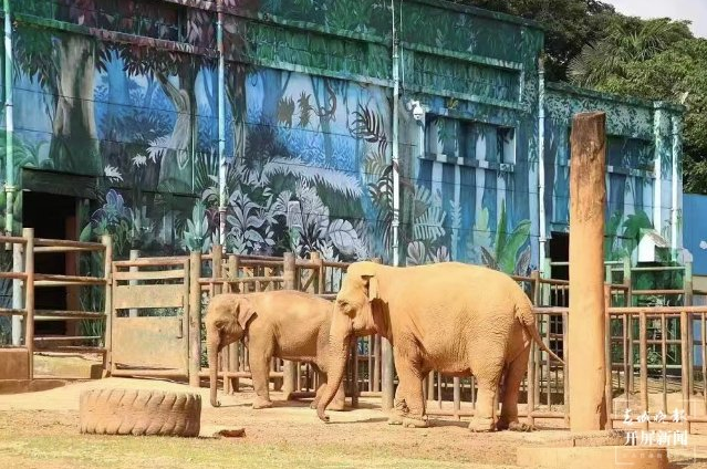 昆明信息港/cnkmxxg