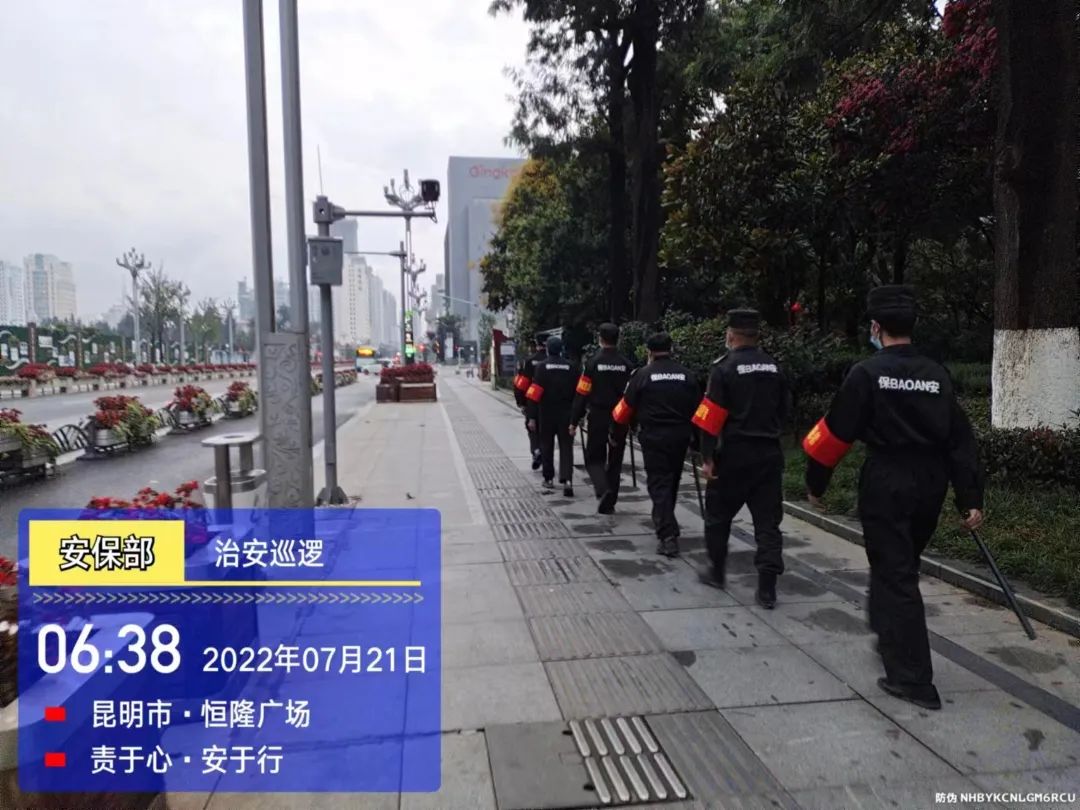 微观盘龙