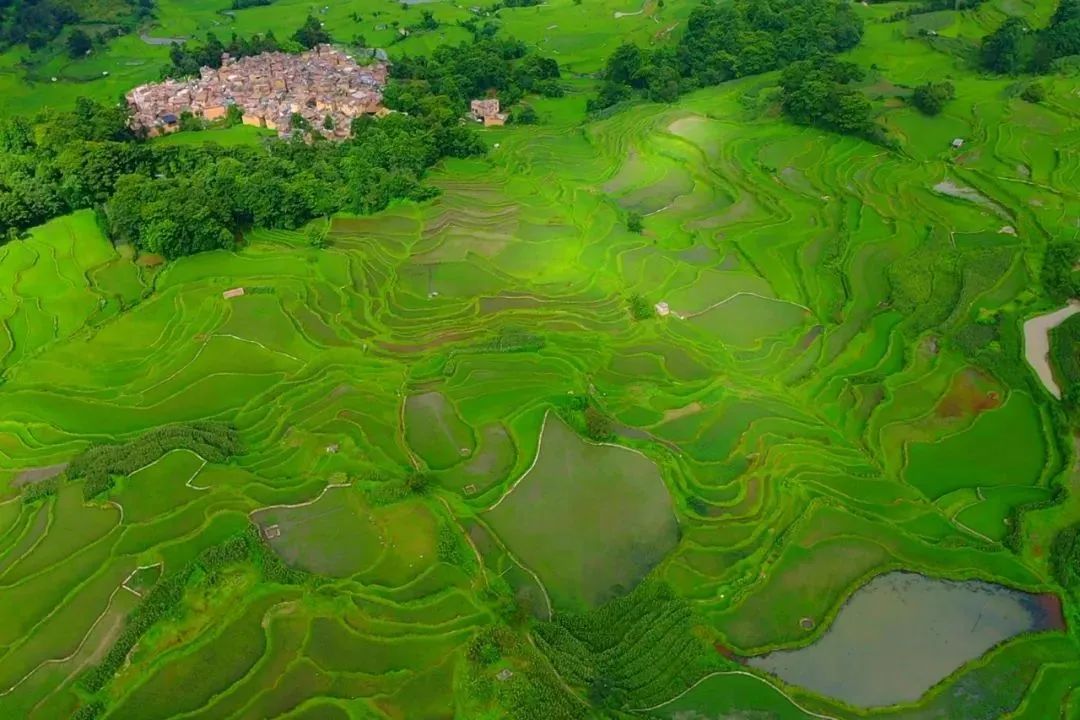 悦读嵩明