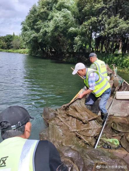 清河道，固河堤，护古滇 度假区网格+水务共同出击筑牢防汛“安全墙”