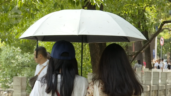 昆明信息港/cnkmxxg