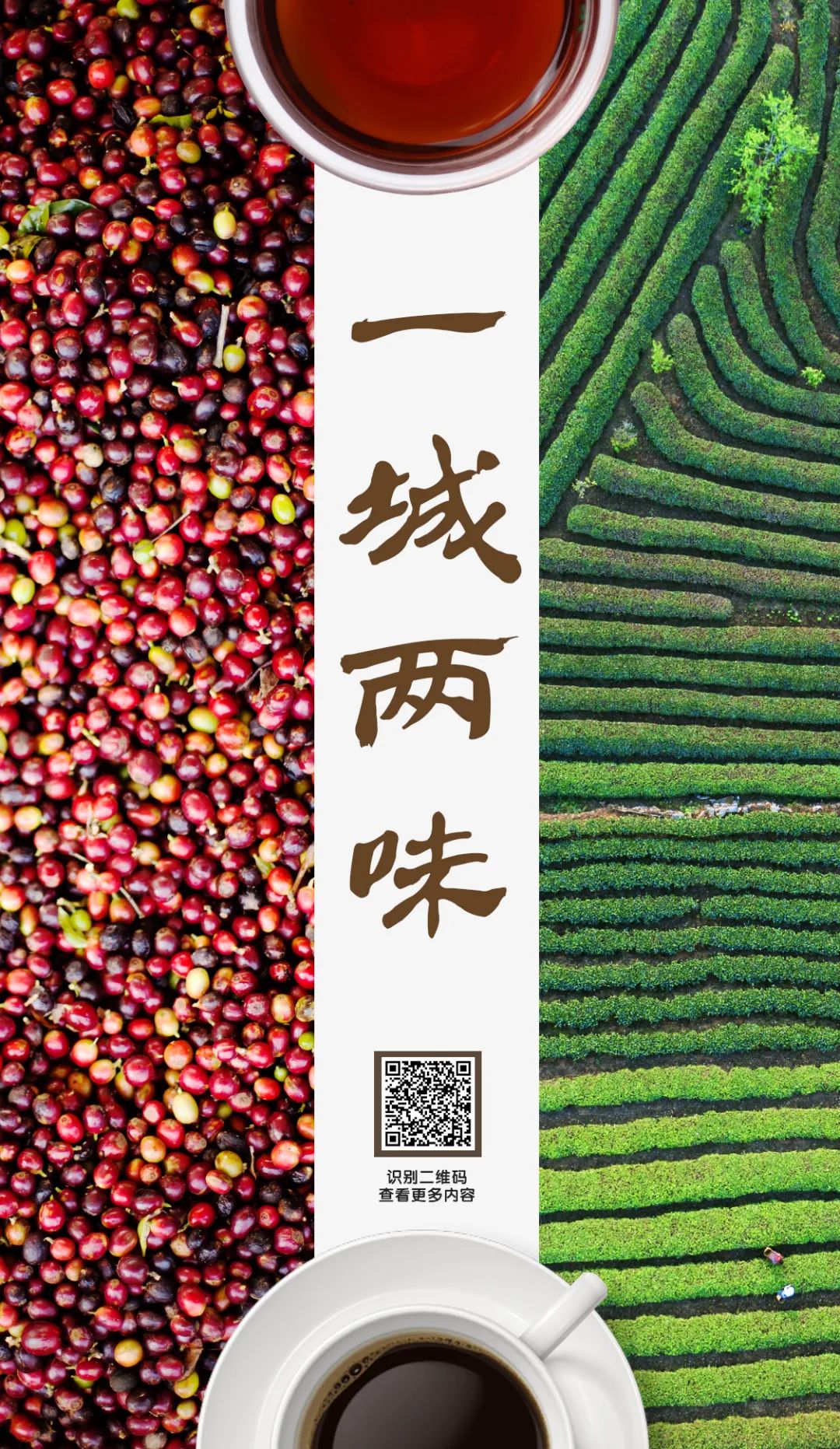 普洱日报