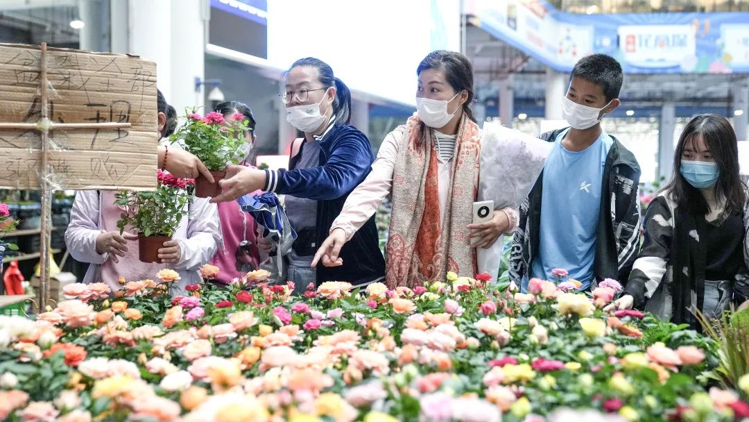 呈贡发布