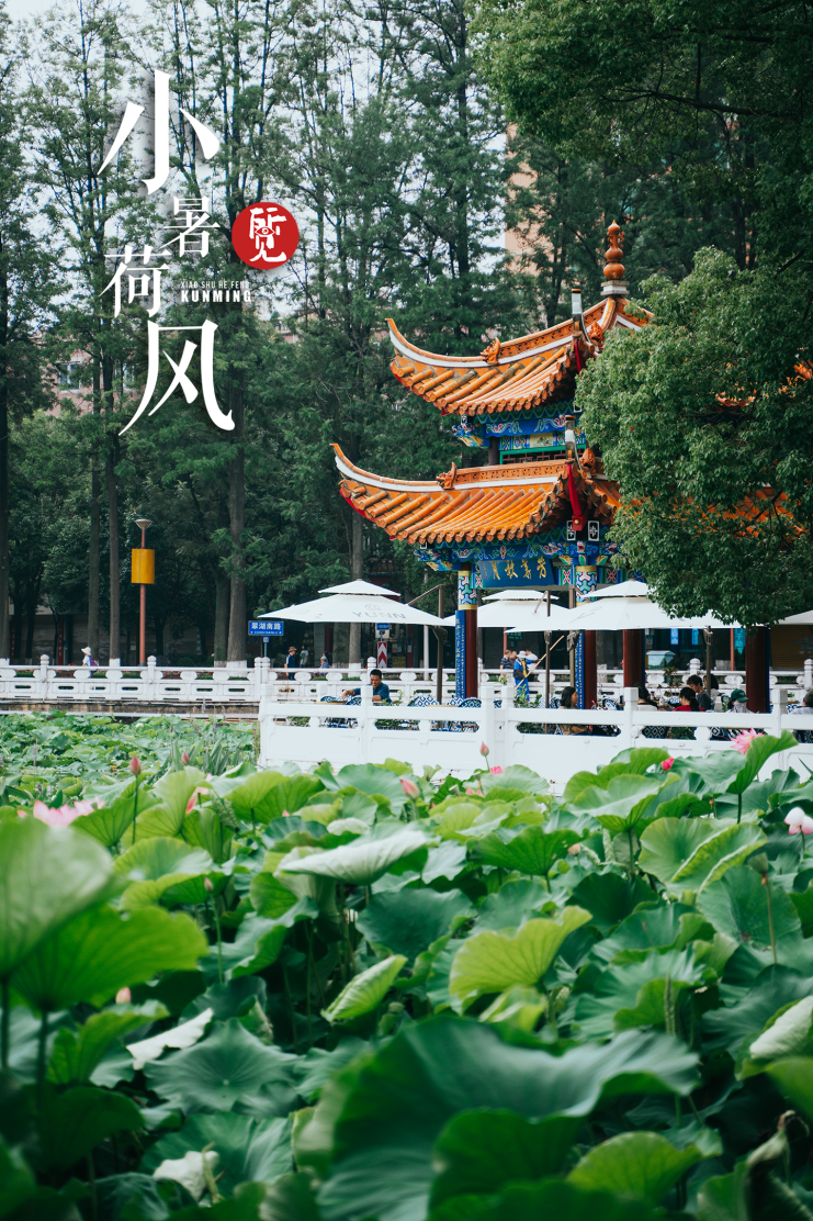 昆明发布