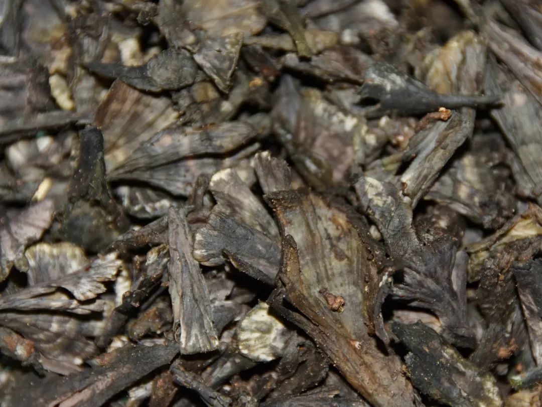 一部手机游云南