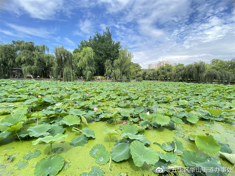 五华区华山街道办事处