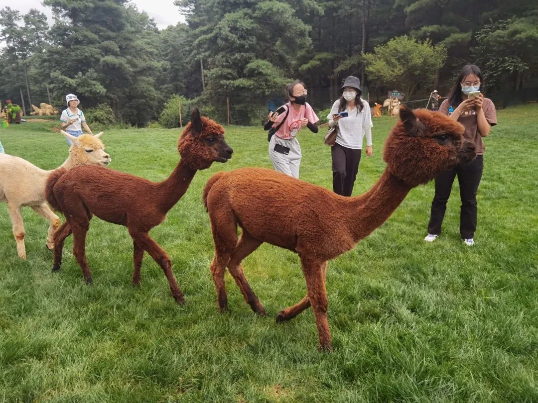 昆明发布