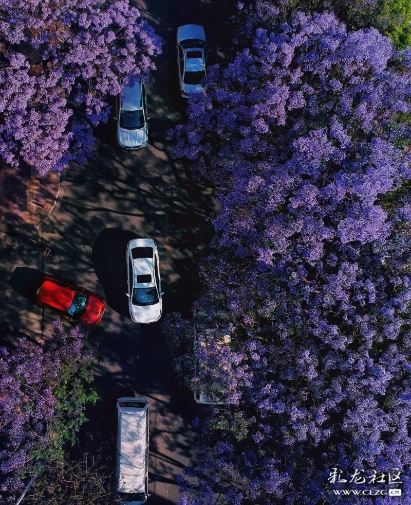 昆明信息港/cnkmxxg