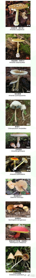 呈贡发布