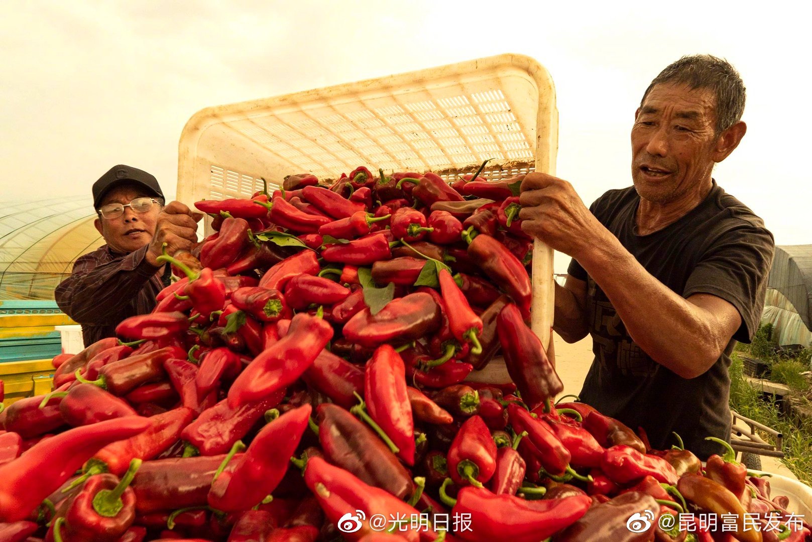 “昆明富民发布”微博