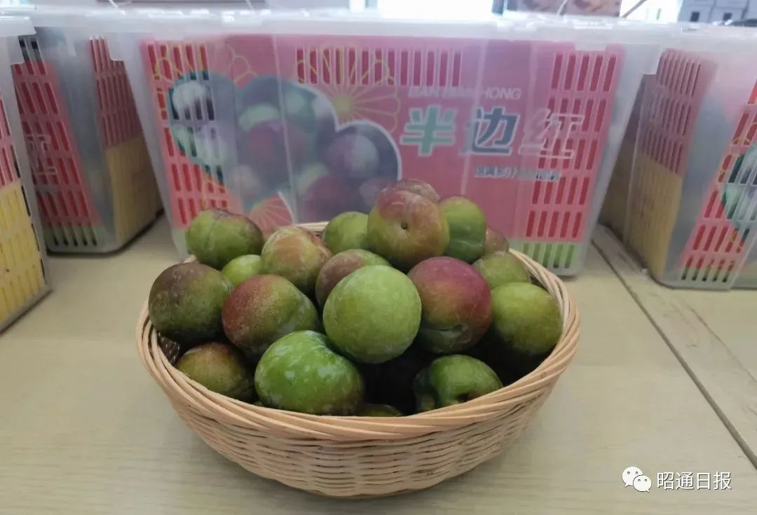 昭通日报