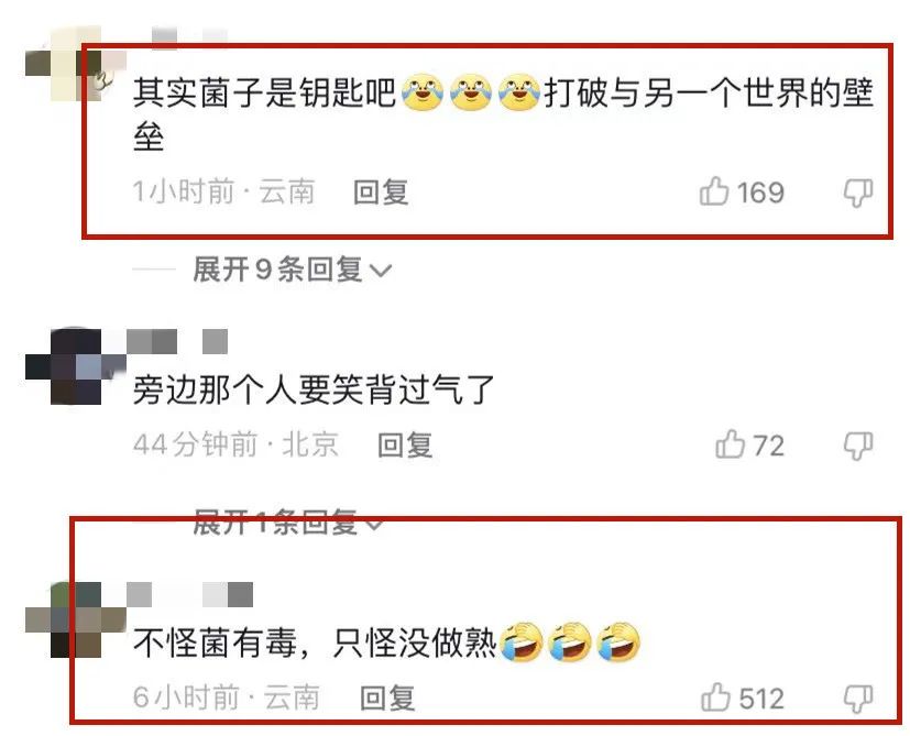 掌上春城