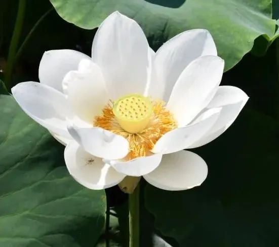 东川新闻