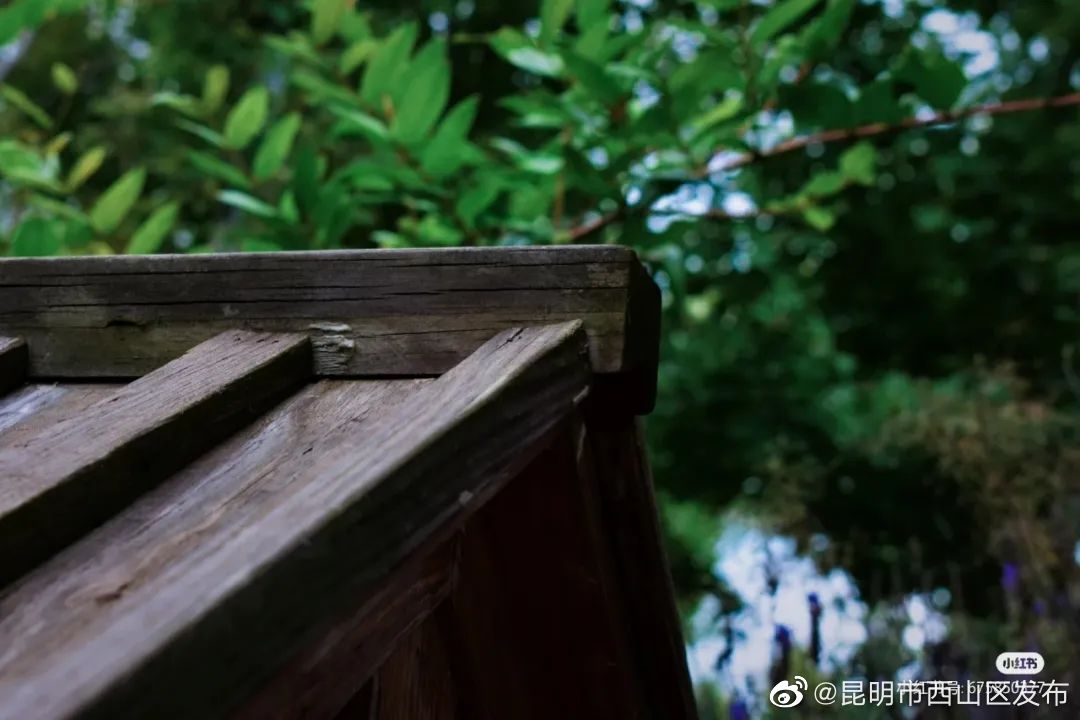 昆明市西山区发布