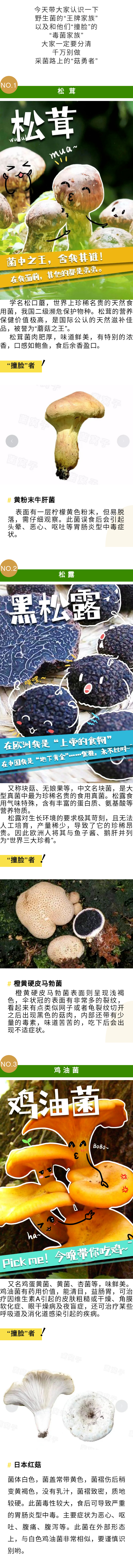 思茅区人民医院