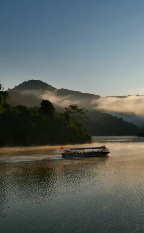 西双版纳望天树景区
