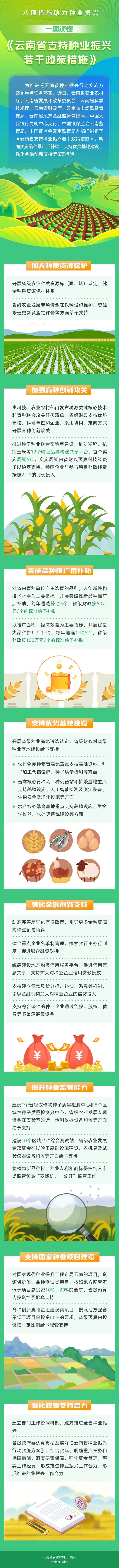 玉溪发布