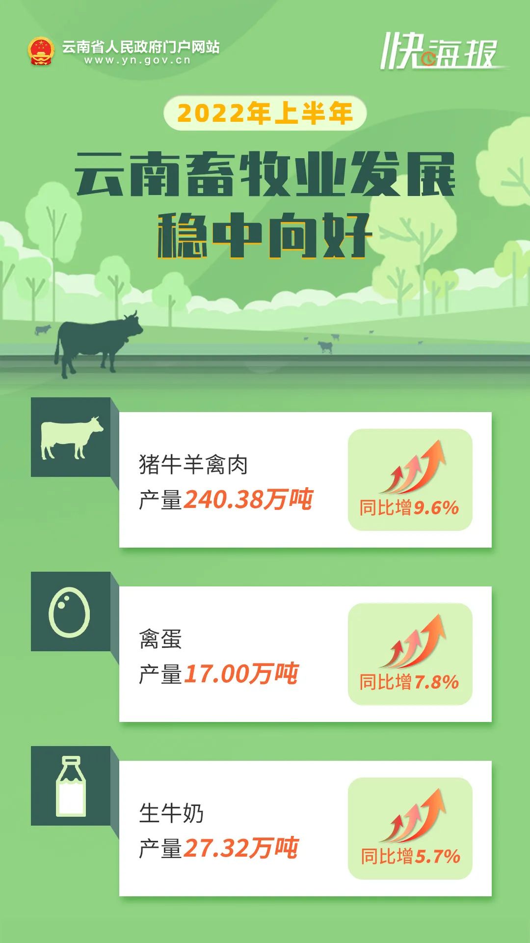 云南省人民政府网
