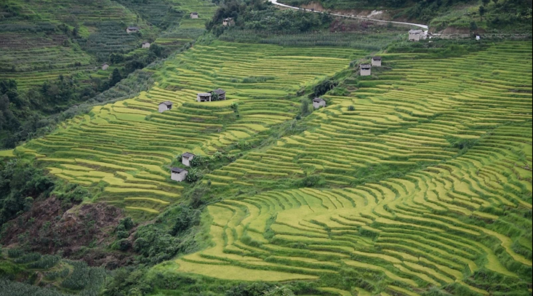 云南省文化和旅游厅