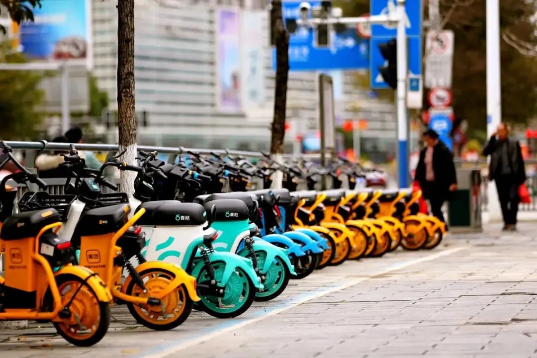 云南法制报