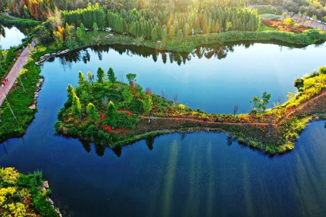 云南省文化和旅游厅