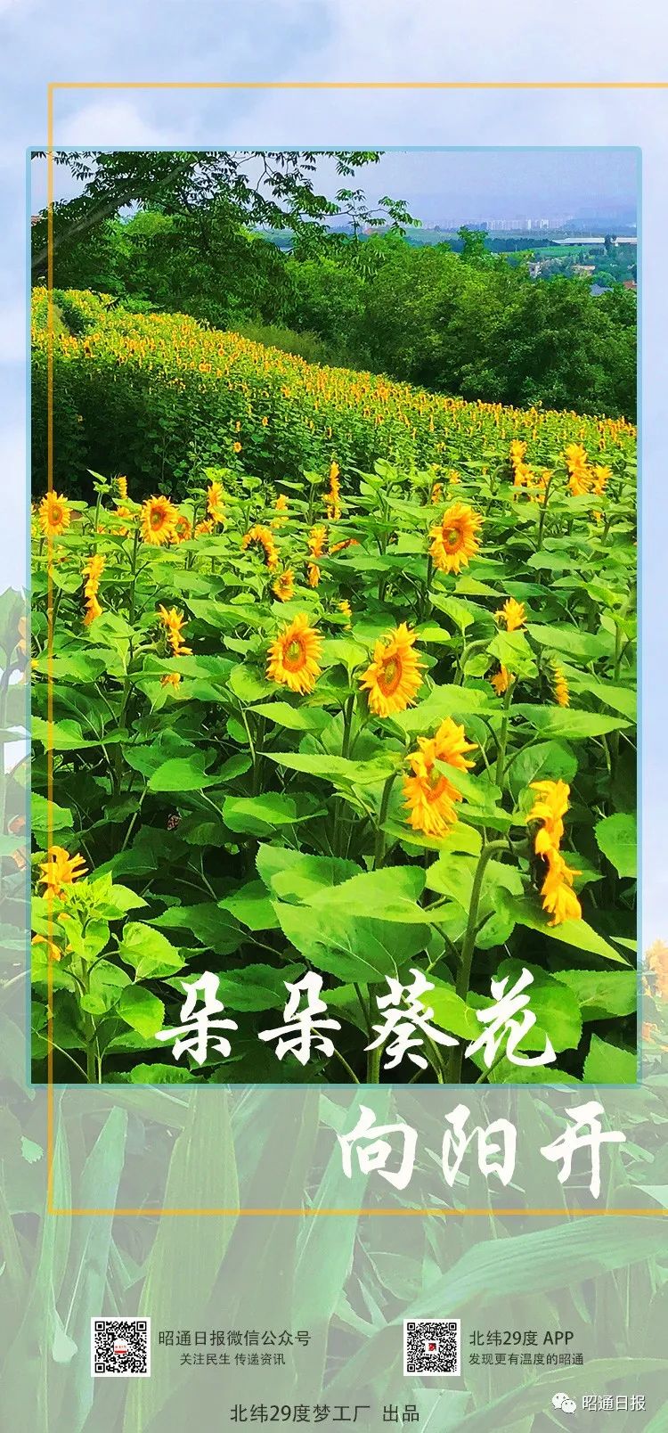 昭通日报
