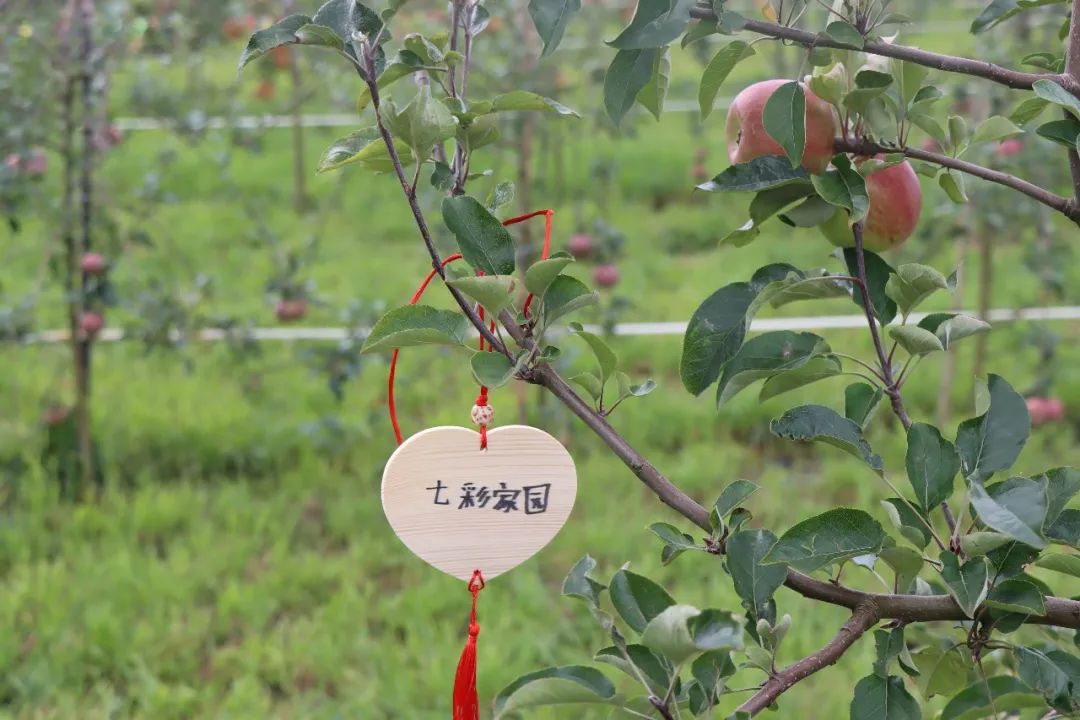 悦读嵩明