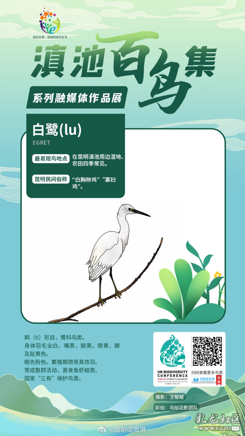 昆明信息港
