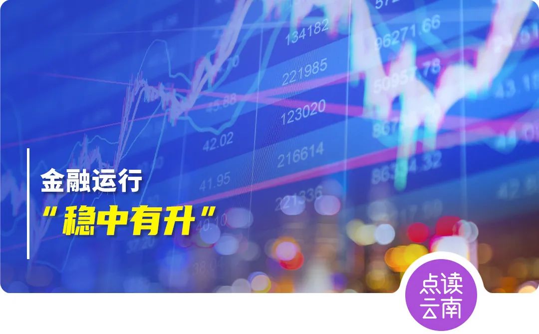 云南省人民政府网