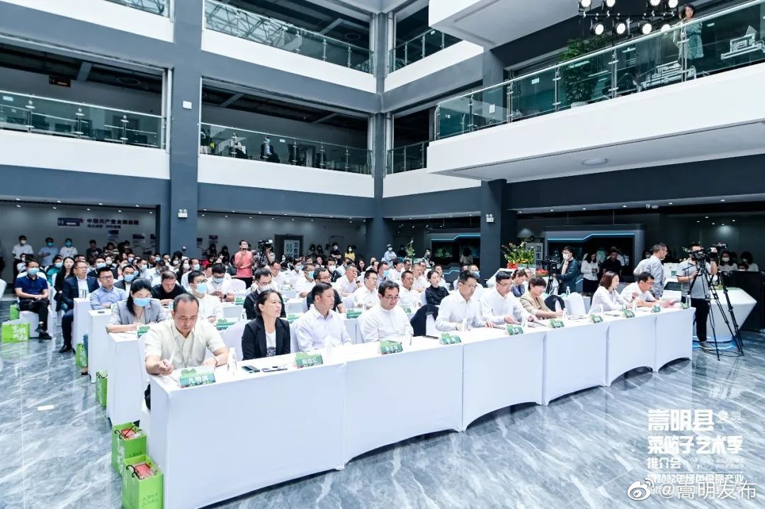 嵩明发布