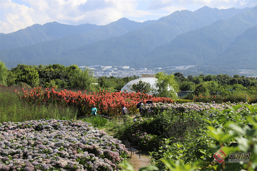 云南省文化和旅游厅
